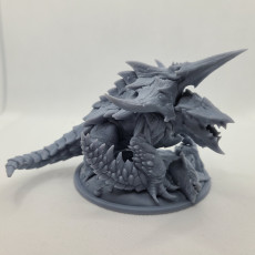 Picture of print of Giant Dragon
