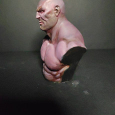 Picture of print of Academic Bust- Human Brute