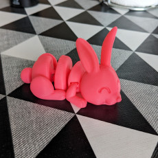 Picture of print of Articulated Bunny