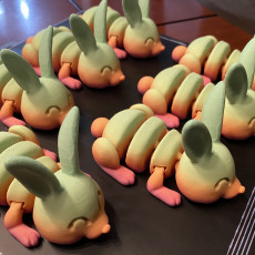 Picture of print of Articulated Bunny