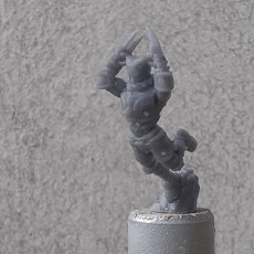 Picture of print of 013 human blitzer Fantasy Football 32mm
