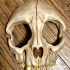 Cat Skull Mask print image