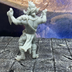 Picture of print of Troll Assassin