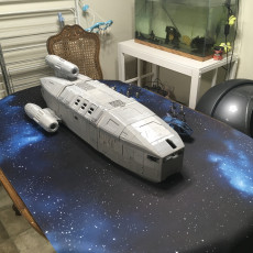 Picture of print of Starship Chimera