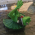 Mr J Pond: Froggy on a Lilypad print image