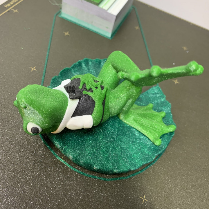 Mr J Pond: Froggy on a Lilypad