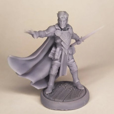 Picture of print of Spellblades - Male Mage