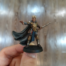 Picture of print of Spellblades - Male Mage