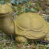 Turtle (Schildkröte) image