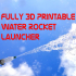 WRLS (Water Rocket Launch System) image