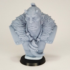 Picture of print of Suru free 1/10 scale bust