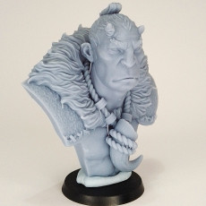 Picture of print of Suru free 1/10 scale bust