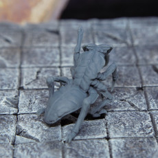 Picture of print of Antkeg - Tabletop Miniature This print has been uploaded by Lance Miller