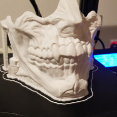 Picture of print of Happy Face Mask Version 1.0