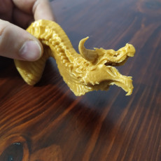 Picture of print of New Dragon