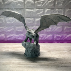 Picture of print of Shadow Dragon (Pre-Supported) This print has been uploaded by Tom Jackson