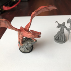Picture of print of Shadow Dragon (Pre-Supported)