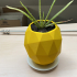 lowpoly pineapple planter with a hole image