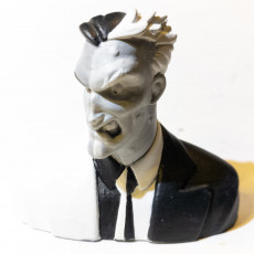 Picture of print of Two Face