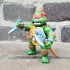Turtles Fighters image