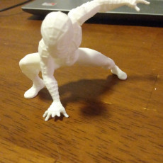 Picture of print of SPIDERMAN BH FIG