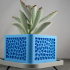 Voronoi Planter image
