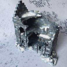Picture of print of Dark Realms Arkenfel - House 1 Ruins
