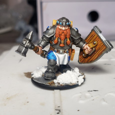 Picture of print of Dwarf Cleric (Male)