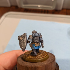 Picture of print of Dwarf Cleric (Male)