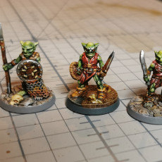 Picture of print of Goblin Fighters x3