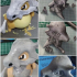 Cubone(Pokemon) print image