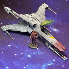 Picture of print of Starfighter Pack