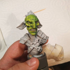 Picture of print of Goblin Bust [Pre-Supported] This print has been uploaded by Kevin Fernandes