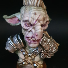Picture of print of Goblin Bust [Pre-Supported]