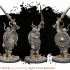 Midgard Vikings: Jarl Rurik (alternative Weapons) PRESUPPORTED print image