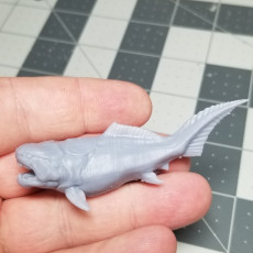 Picture of print of Dunkleosteus - 3D Printable Prehistoric Creature - 3 Poses 3D print model