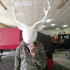 deer poligonal mask image