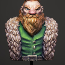 Picture of print of Adventurer Dwarf bust This print has been uploaded by Łukasz Łazarecki