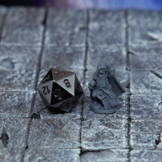 Picture of print of Gnome warlock, Grimbrann. This print has been uploaded by Lance Miller
