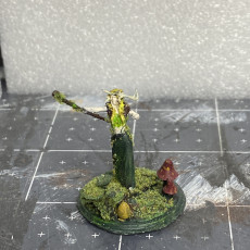 Picture of print of Female Druid