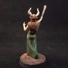 Picture of print of Female Druid