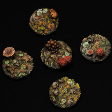 Picture of print of FOREST 5 x Round Bases 25/28/30/32mm - PRESUPPORTED
