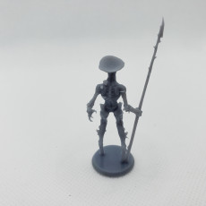 Picture of print of Mushroom Soldier