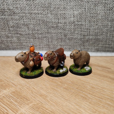 Picture of print of Capybara Companions