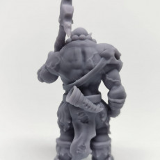 Picture of print of Orc Warrior 这个打印已上传 Miniatures Of Madness