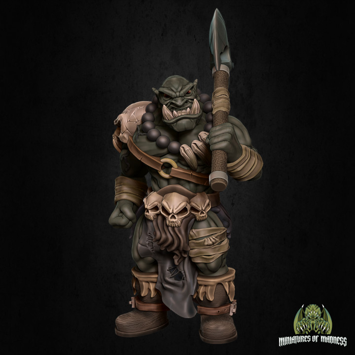 Orc Warrior's Cover