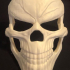 Ghost Rider mask -Danny Ketch - Marvel comics Halloween mask print image