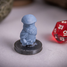 Picture of print of Shroomie Bandit Miniature