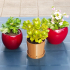 Classic Brown Plant Pot & Water Dish image