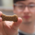 Biscoitos Scooby // Scooby Snacks image